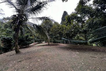 [2 ACRES] Agriculture Land Tanarimba @ Bentong, Pahang