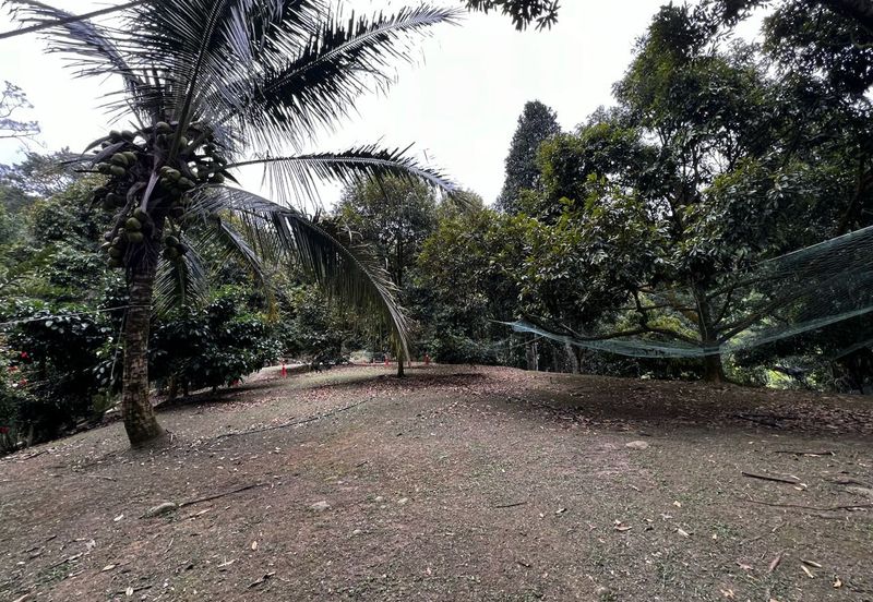 [2 ACRES] Agriculture Land Tanarimba @ Bentong, Pahang