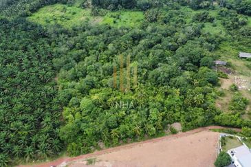 Tanah Pertanian Sebelah Taman Paya Rumput Perdana @ Melaka Tengah, Melaka
