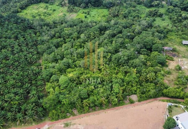 Tanah Pertanian Sebelah Taman Paya Rumput Perdana @ Melaka Tengah, Melaka