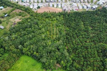 Tanah Pertanian Sebelah Taman Paya Rumput Perdana @ Melaka Tengah, Melaka