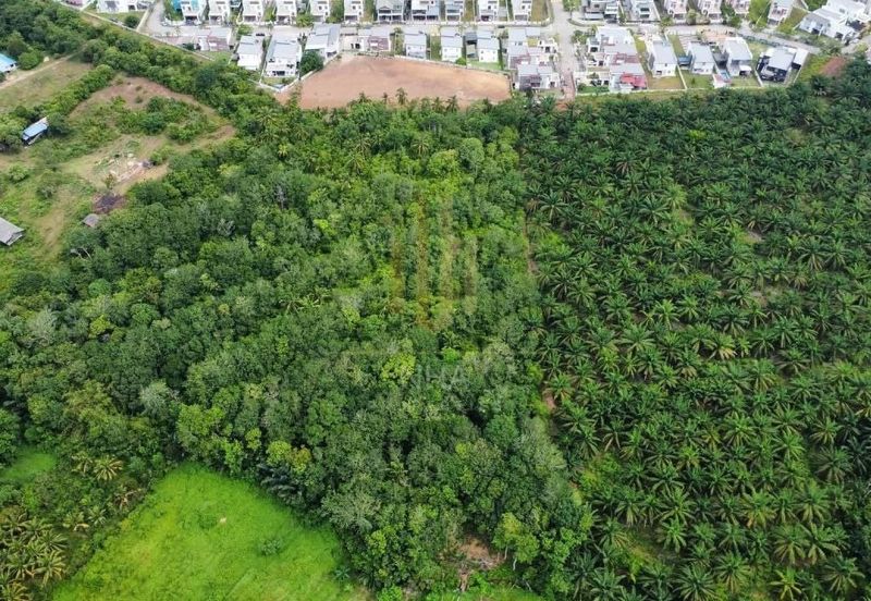 Tanah Pertanian Sebelah Taman Paya Rumput Perdana @ Melaka Tengah, Melaka