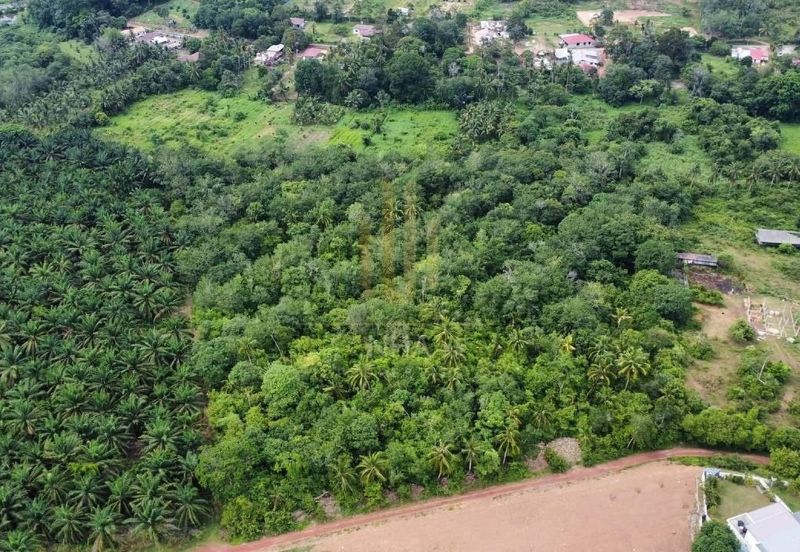 Tanah Pertanian Sebelah Taman Paya Rumput Perdana @ Melaka Tengah, Melaka