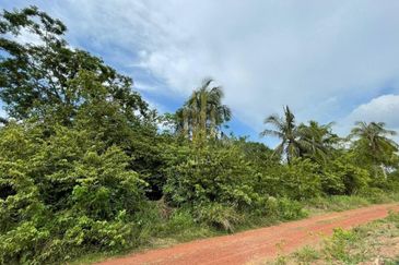 Tanah Pertanian Sebelah Taman Paya Rumput Perdana @ Melaka Tengah, Melaka