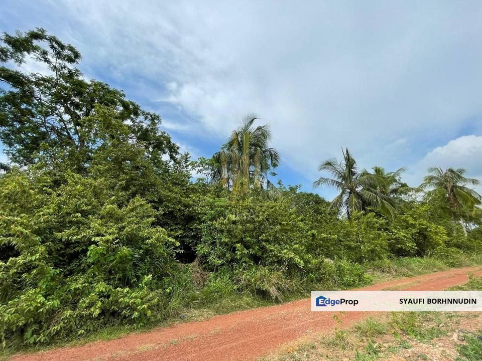 Tanah Pertanian Sebelah Taman Paya Rumput Perdana @ Melaka Tengah, Melaka, Melaka, Melaka Tengah