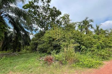 Tanah Pertanian Sebelah Taman Paya Rumput Perdana @ Melaka Tengah, Melaka
