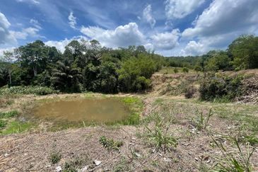 Tanah Pertanian Dusun Tepi Sungai Lubok Kelubi @ Batu 20, Hulu Langat