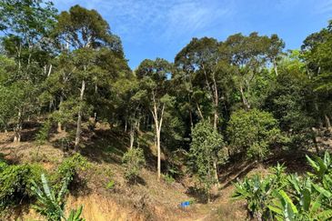 [REZAB JALAN] Dusun Durian Peradong @ Jelebu, Negeri Sembilan