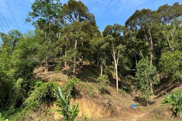 [REZAB JALAN] Dusun Durian Peradong @ Jelebu, Negeri Sembilan