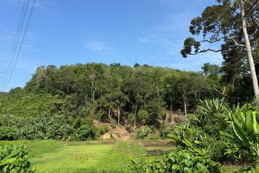[REZAB JALAN] Dusun Durian Peradong @ Jelebu, Negeri Sembilan