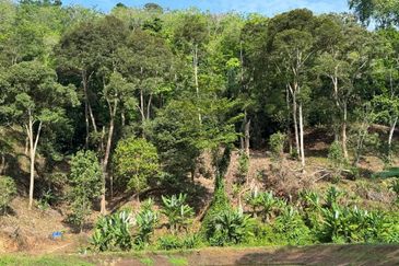 [REZAB JALAN] Dusun Durian Peradong @ Jelebu, Negeri Sembilan