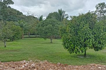 [3.2 ACRES] Dusun Complete with 1 1/2 Storey Bungalow, 4 Nos Homestay and 1 Nos Workers House @ Persiaran Mokhtar Dahari, Puncak Alam