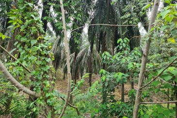 Kampung Jenderam Hulu