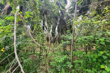 Kampung Jenderam Hulu
