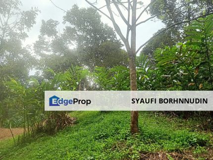 [4 EKAR] Tanah Kebun Pertanian Blok 80 @ Hulu Langat, Selangor, Selangor, Hulu Langat