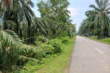[3.5 EKAR] Tanah Pertanian Jugra @ Kuala Langat, Selangor