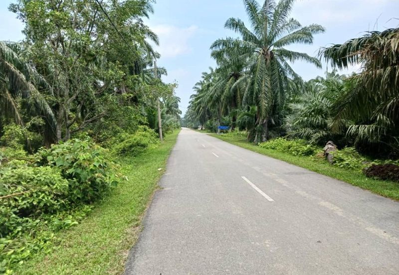 [3.5 EKAR] Tanah Pertanian Jugra @ Kuala Langat, Selangor