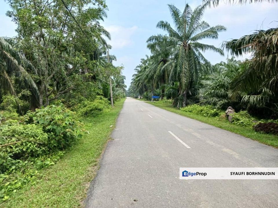 [3.5 EKAR] Tanah Pertanian Jugra @ Kuala Langat, Selangor, Selangor, Kuala Langat