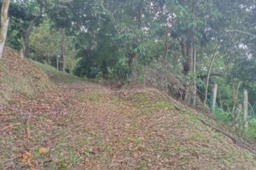 [1.1 EKAR] Tanah Dusun Tepi Jalan Kg. Ulu Rening @ Batang Kali, Selangor