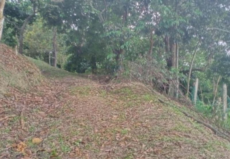 [1.1 EKAR] Tanah Dusun Tepi Jalan Kg. Ulu Rening @ Batang Kali, Selangor