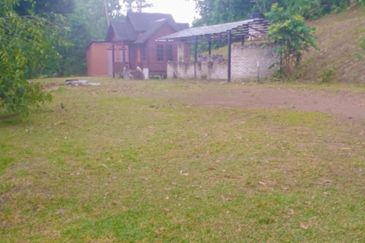 [1.1 EKAR] Tanah Dusun Tepi Jalan Kg. Ulu Rening @ Batang Kali, Selangor