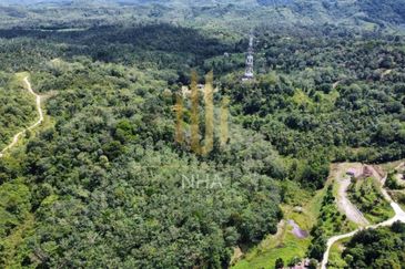 [1.1 EKAR] Tanah Dusun Tepi Jalan Kg. Ulu Rening @ Batang Kali, Selangor