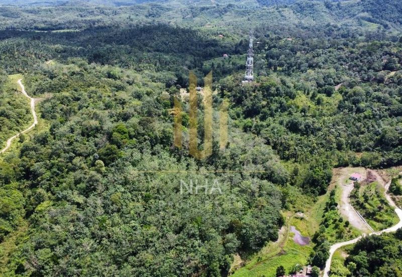 [1.1 EKAR] Tanah Dusun Tepi Jalan Kg. Ulu Rening @ Batang Kali, Selangor