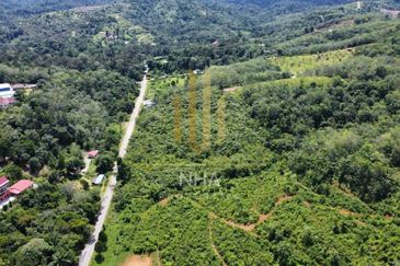 [1.1 EKAR] Tanah Dusun Tepi Jalan Kg. Ulu Rening @ Batang Kali, Selangor