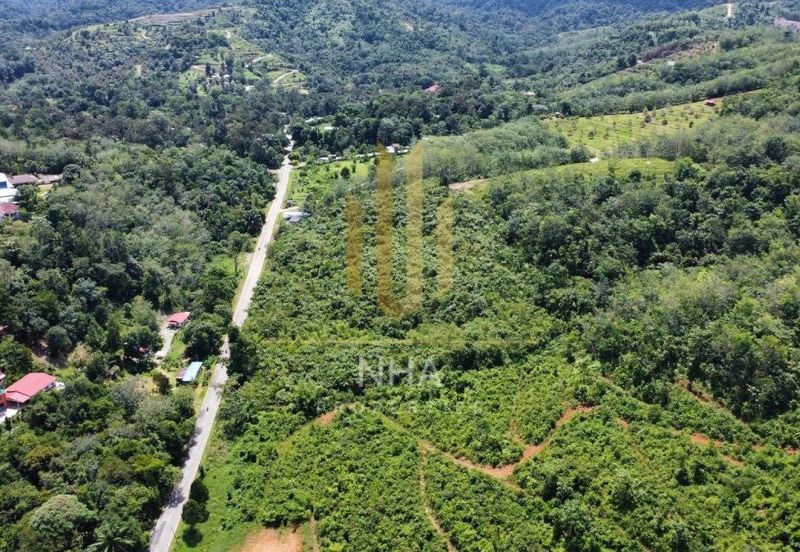 [1.1 EKAR] Tanah Dusun Tepi Jalan Kg. Ulu Rening @ Batang Kali, Selangor