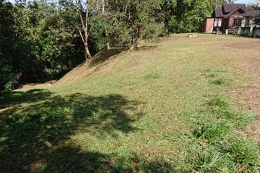 [1.1 EKAR] Tanah Dusun Tepi Jalan Kg. Ulu Rening @ Batang Kali, Selangor