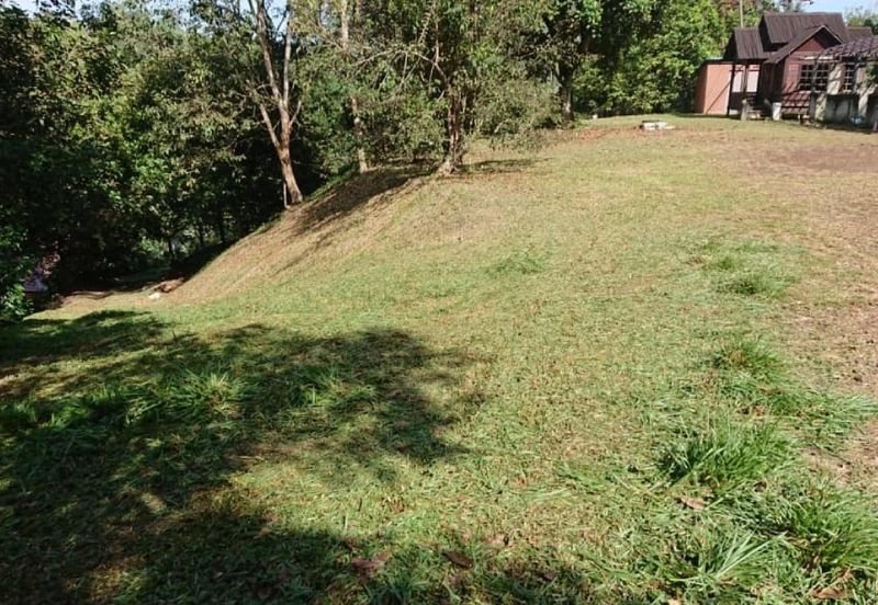 [1.1 EKAR] Tanah Dusun Tepi Jalan Kg. Ulu Rening @ Batang Kali, Selangor