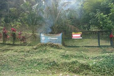 [1.1 EKAR] Tanah Dusun Tepi Jalan Kg. Ulu Rening @ Batang Kali, Selangor