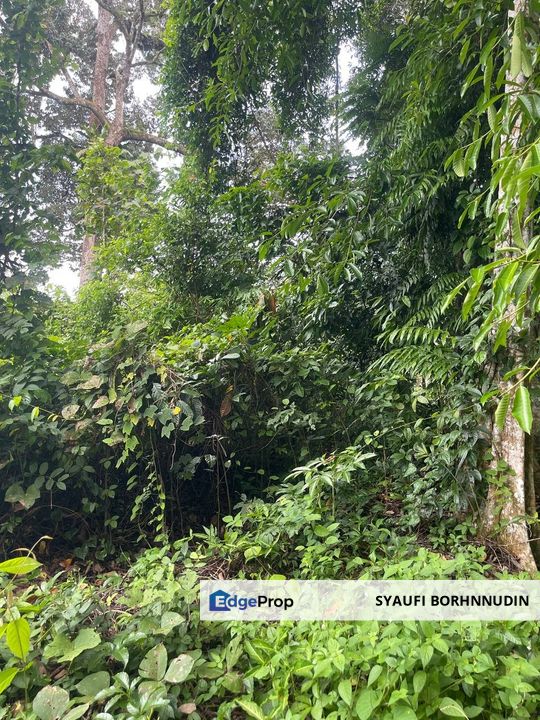 [3 EKAR] Tanah Pertanian Sungai Lui @ Hulu Langat, Selangor, Selangor, Hulu Langat