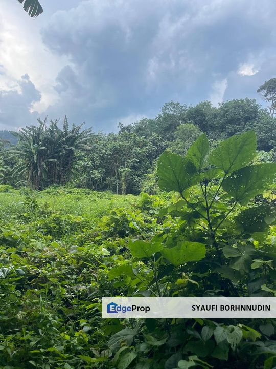 [3 EKAR] Tanah Pertanian Sungai Lui @ Hulu Langat, Selangor, Selangor, Hulu Langat