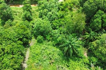 Desa Pinggiran Putra