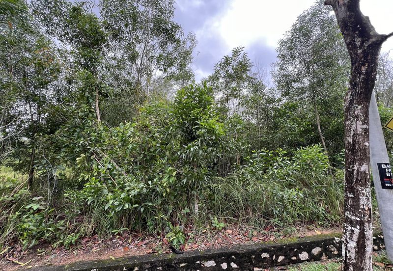 Bandar Tasik Senangin