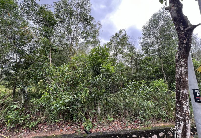 Bandar Tasik Senangin