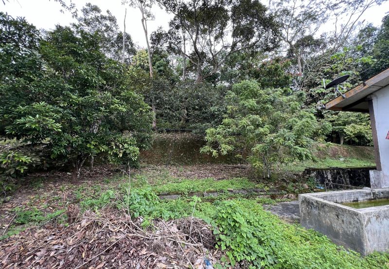 Tanah Untuk Dijual Kampung Bongek, Rembau Negeri Sembilan (Pertanian Status Kediaman)