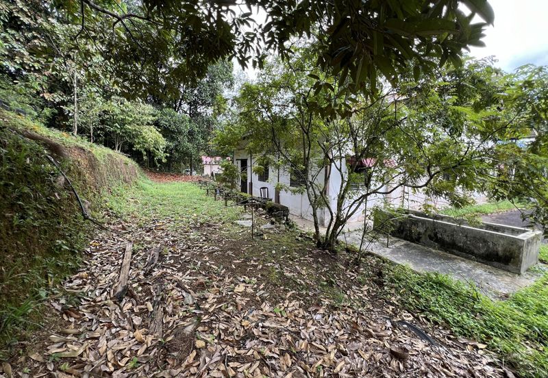 Tanah Untuk Dijual Kampung Bongek, Rembau Negeri Sembilan (Pertanian Status Kediaman)