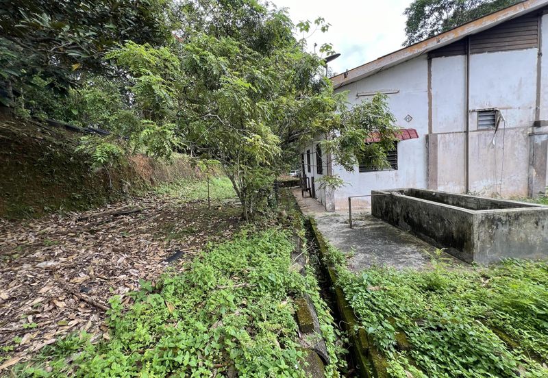 Tanah Untuk Dijual Kampung Bongek, Rembau Negeri Sembilan (Pertanian Status Kediaman)