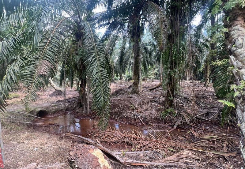 Land for Sale – Residential Zoning Tanjong Dua Belas, Kuala Langat, Banting Selangor