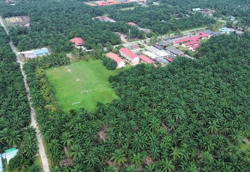 Land for Sale – Residential Zoning Tanjong Dua Belas, Kuala Langat, Banting Selangor