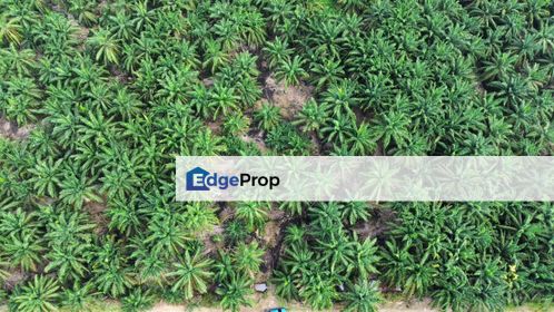 Land for Sale – Residential Zoning Tanjong Dua Belas, Kuala Langat, Banting Selangor, Selangor, Banting