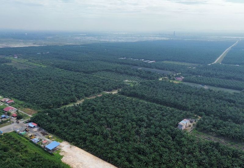 Land for Sale – Residential Zoning Tanjong Dua Belas, Kuala Langat, Banting Selangor