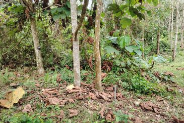 Tanah Pertanian Rembau Mukim Batu Hampar 