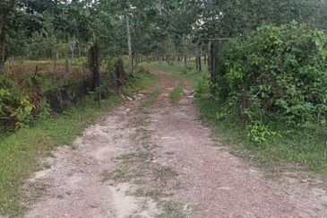 Tanah Pertanian Rembau Mukim Batu Hampar 