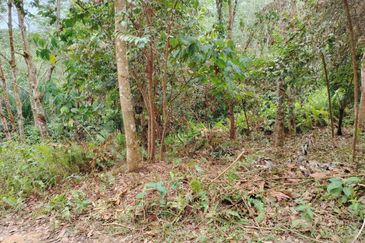 Tanah Pertanian Rembau Mukim Batu Hampar 