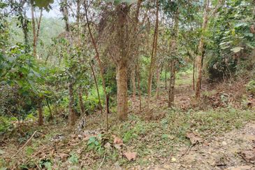 Tanah Pertanian Rembau Mukim Batu Hampar 