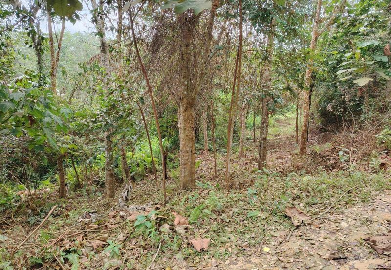 Tanah Pertanian Rembau Mukim Batu Hampar 