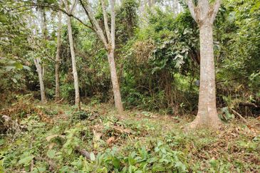 Tanah Pertanian Rembau Mukim Batu Hampar 